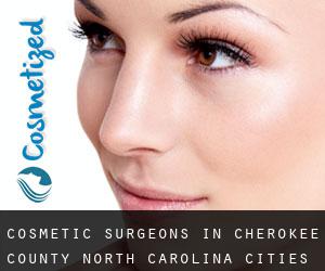 cosmetic surgeons in Cherokee County North Carolina (Cities) - page 1