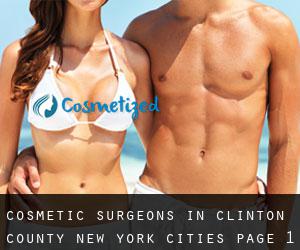 cosmetic surgeons in Clinton County New York (Cities) - page 1