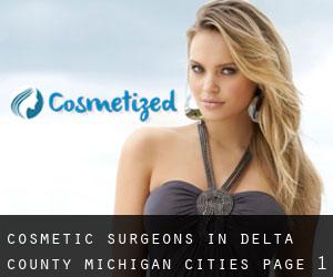 cosmetic surgeons in Delta County Michigan (Cities) - page 1