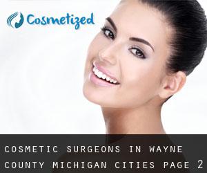 cosmetic surgeons in Wayne County Michigan (Cities) - page 2