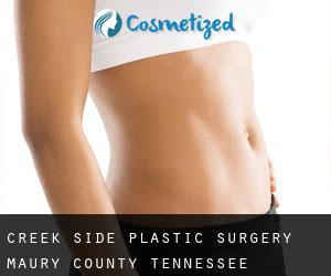Creek Side plastic surgery (Maury County, Tennessee)