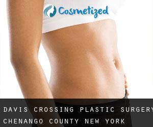 Davis Crossing plastic surgery (Chenango County, New York)