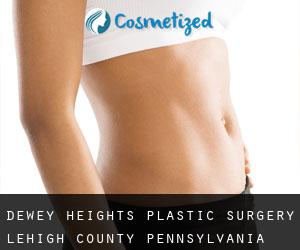 Dewey Heights plastic surgery (Lehigh County, Pennsylvania)