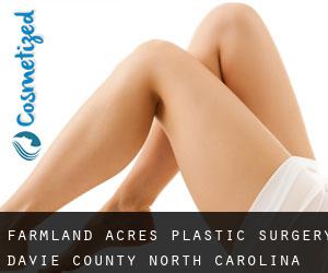 Farmland Acres plastic surgery (Davie County, North Carolina)