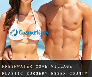 Freshwater Cove Village plastic surgery (Essex County, Massachusetts)
