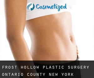 Frost Hollow plastic surgery (Ontario County, New York)