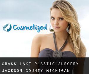 Grass Lake plastic surgery (Jackson County, Michigan)