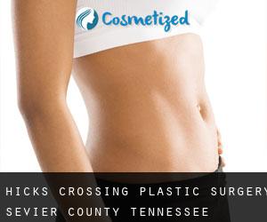 Hicks Crossing plastic surgery (Sevier County, Tennessee)