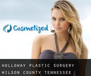 Holloway plastic surgery (Wilson County, Tennessee)