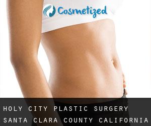 Holy City plastic surgery (Santa Clara County, California)
