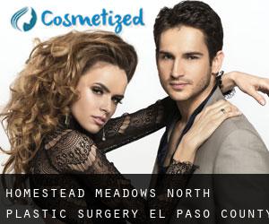 Homestead Meadows North plastic surgery (El Paso County, Texas)