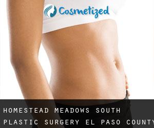Homestead Meadows South plastic surgery (El Paso County, Texas)