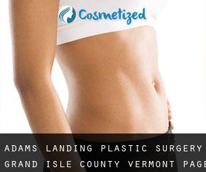 Adams Landing plastic surgery (Grand Isle County, Vermont) - page 3