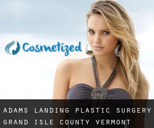 Adams Landing plastic surgery (Grand Isle County, Vermont)