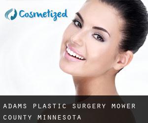 Adams plastic surgery (Mower County, Minnesota)