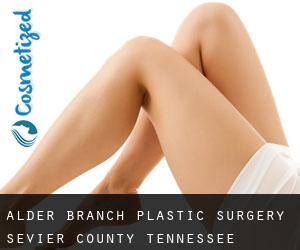 Alder Branch plastic surgery (Sevier County, Tennessee)