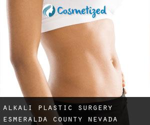 Alkali plastic surgery (Esmeralda County, Nevada)