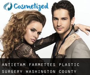 Antietam Farmettes plastic surgery (Washington County, Maryland)