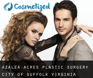 Azalea Acres plastic surgery (City of Suffolk, Virginia)