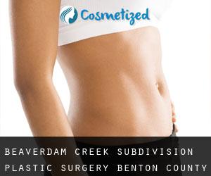 Beaverdam Creek Subdivision plastic surgery (Benton County, Tennessee)