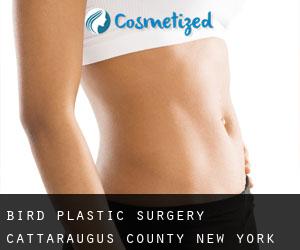 Bird plastic surgery (Cattaraugus County, New York)