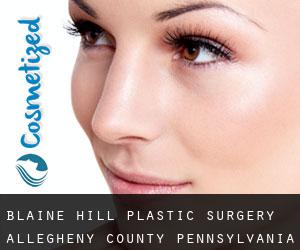 Blaine Hill plastic surgery (Allegheny County, Pennsylvania)