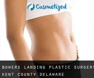 Bowers Landing plastic surgery (Kent County, Delaware)