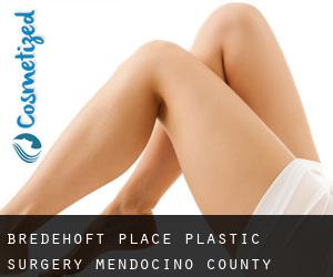Bredehoft Place plastic surgery (Mendocino County, California)