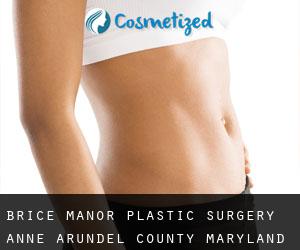 Brice Manor plastic surgery (Anne Arundel County, Maryland)