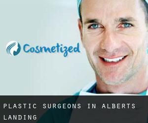 Plastic Surgeons in Alberts Landing