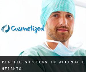 Plastic Surgeons in Allendale Heights