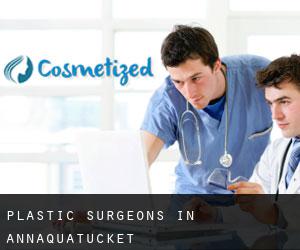 Plastic Surgeons in Annaquatucket