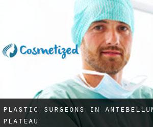 Plastic Surgeons in Antebellum Plateau