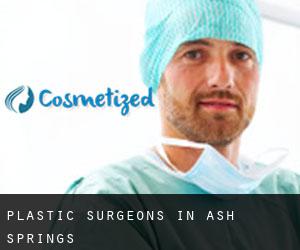 Plastic Surgeons in Ash Springs