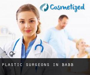 Plastic Surgeons in Babb