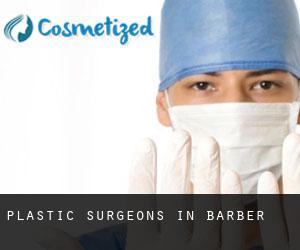 Plastic Surgeons in Barber