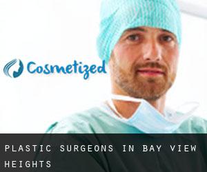 Plastic Surgeons in Bay View Heights