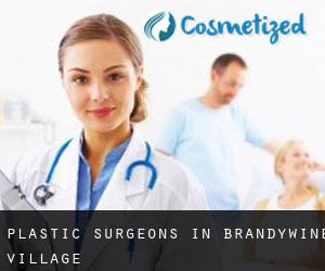 Plastic Surgeons in Brandywine Village