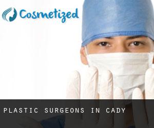 Plastic Surgeons in Cady