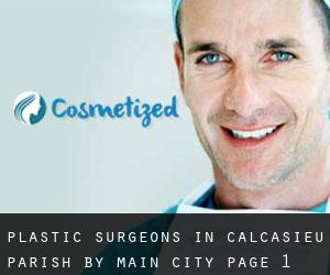 Plastic Surgeons in Calcasieu Parish by main city - page 1