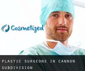 Plastic Surgeons in Cannon Subdivision