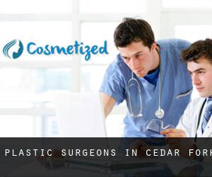 Plastic Surgeons in Cedar Fork