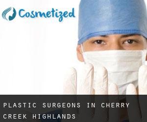Plastic Surgeons in Cherry Creek Highlands