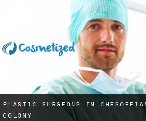 Plastic Surgeons in Chesopeian Colony