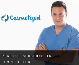 Plastic Surgeons in Competition