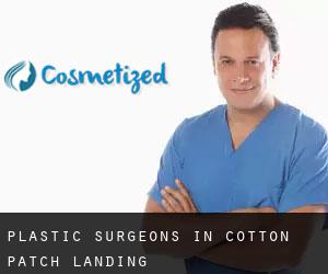 Plastic Surgeons in Cotton Patch Landing