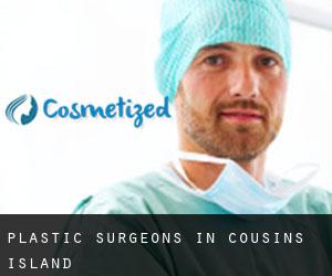 Plastic Surgeons in Cousins Island