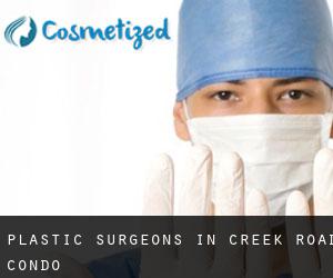 Plastic Surgeons in Creek Road Condo