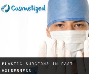 Plastic Surgeons in East Holderness