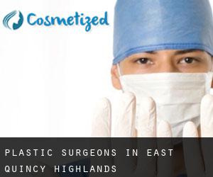 Plastic Surgeons in East Quincy Highlands